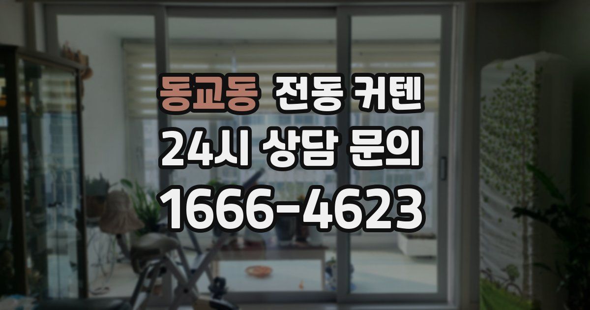 동교동 전동 커텐