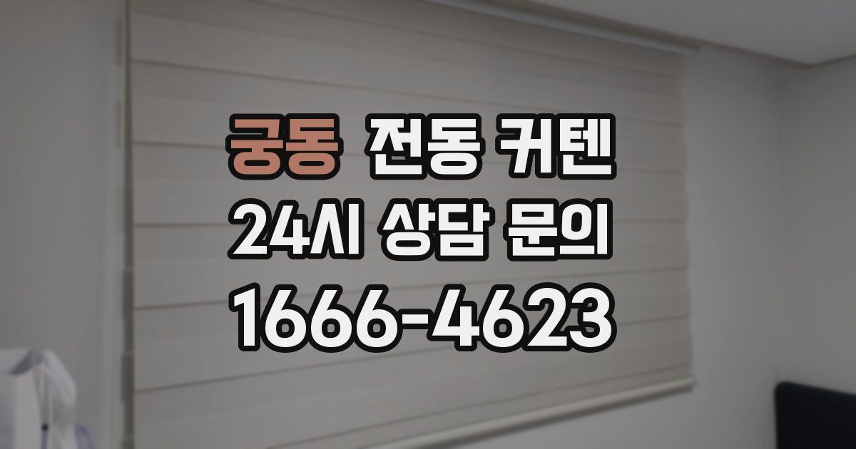 궁동 전동 커텐