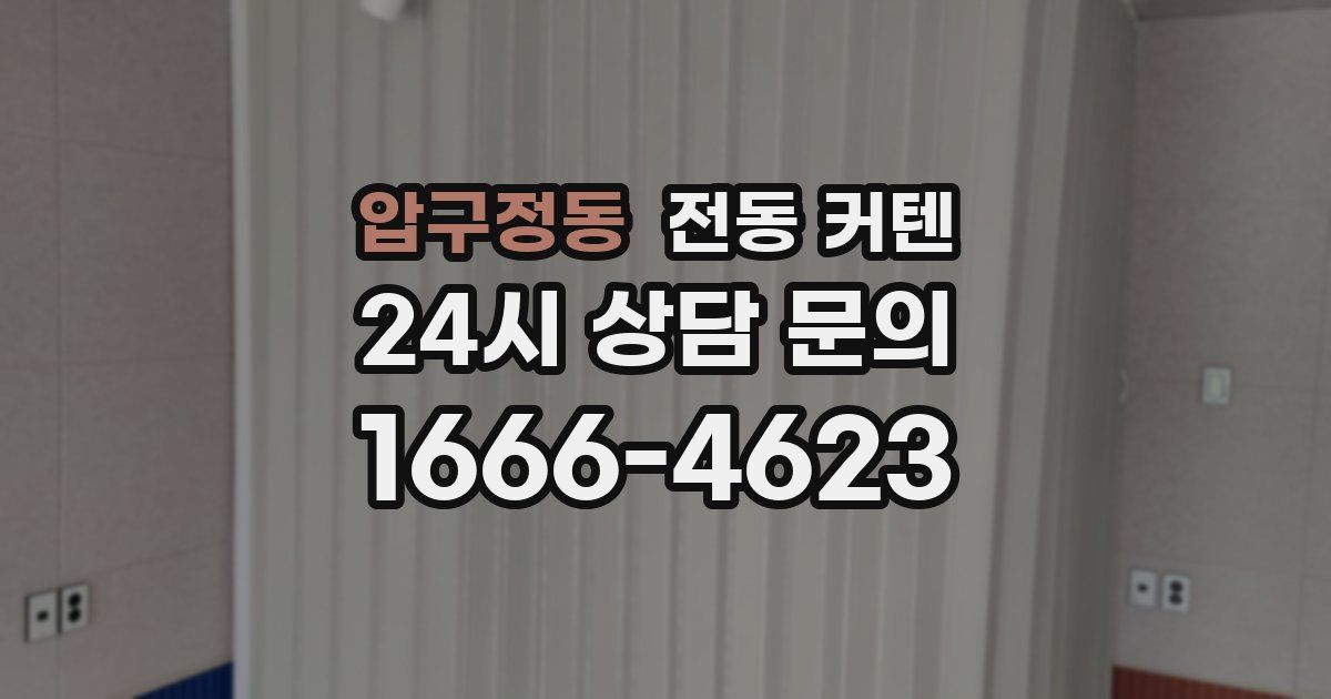 압구정동 전동 커텐