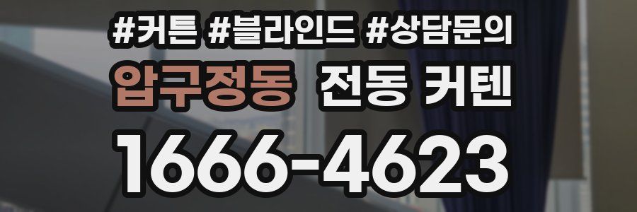 압구정동 전동 커텐