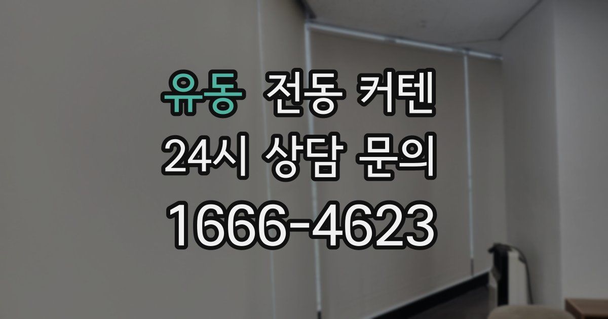 유동 전동 커텐