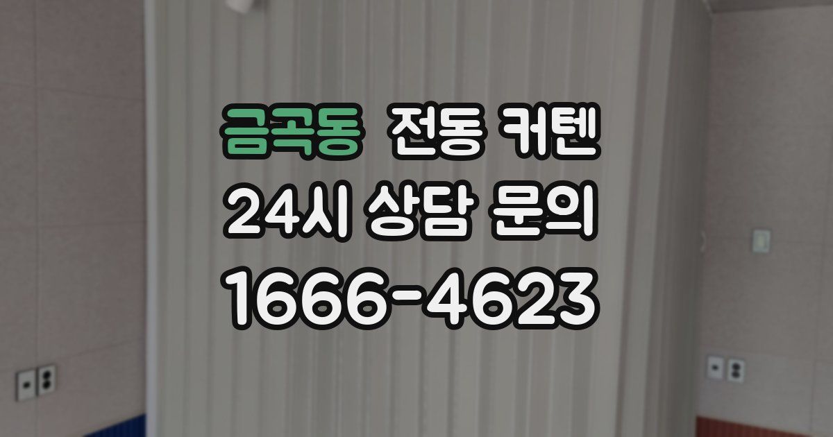 금곡동 전동 커텐