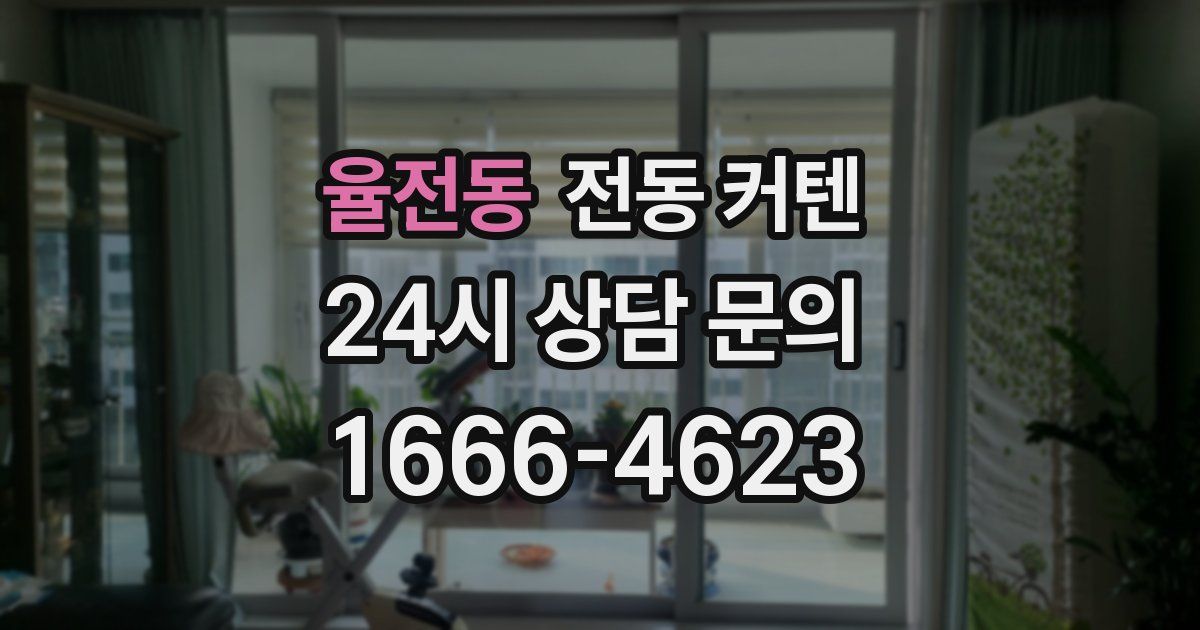 율전동 전동 커텐