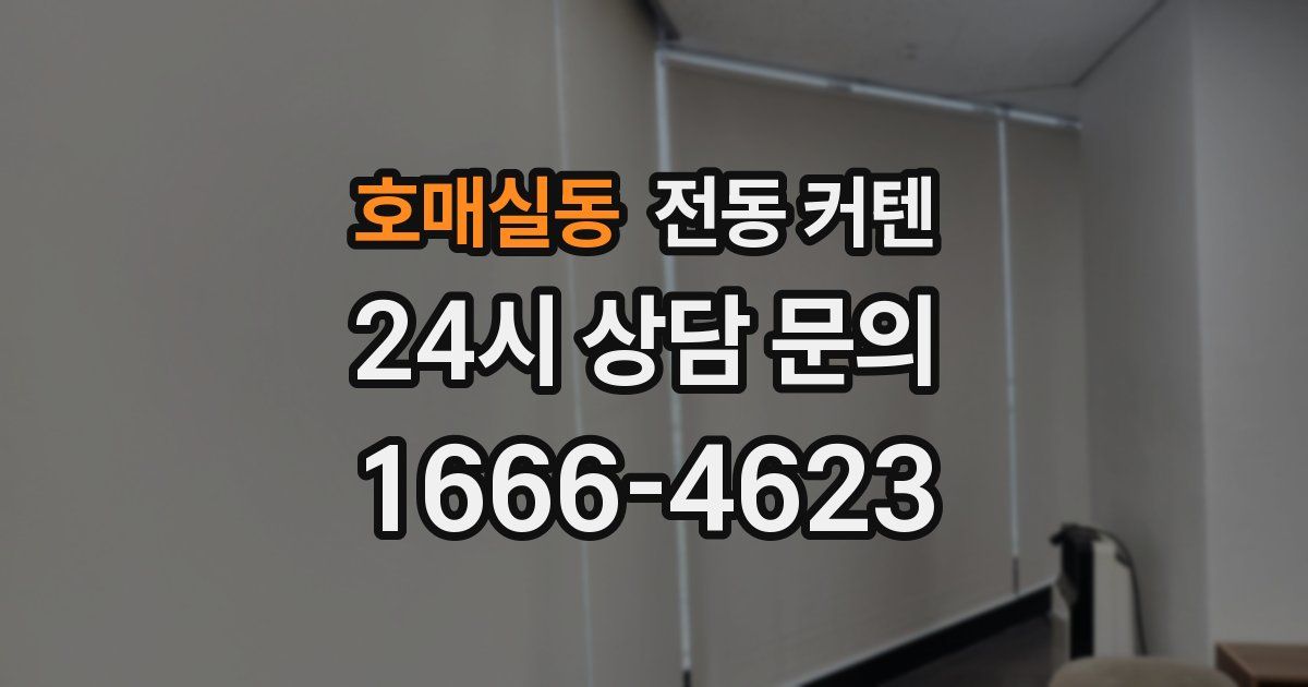호매실동 전동 커텐