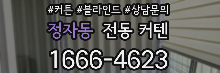 정자동 전동 커텐