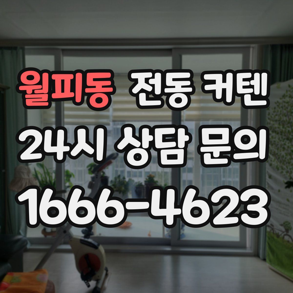 월피동 전동 커텐