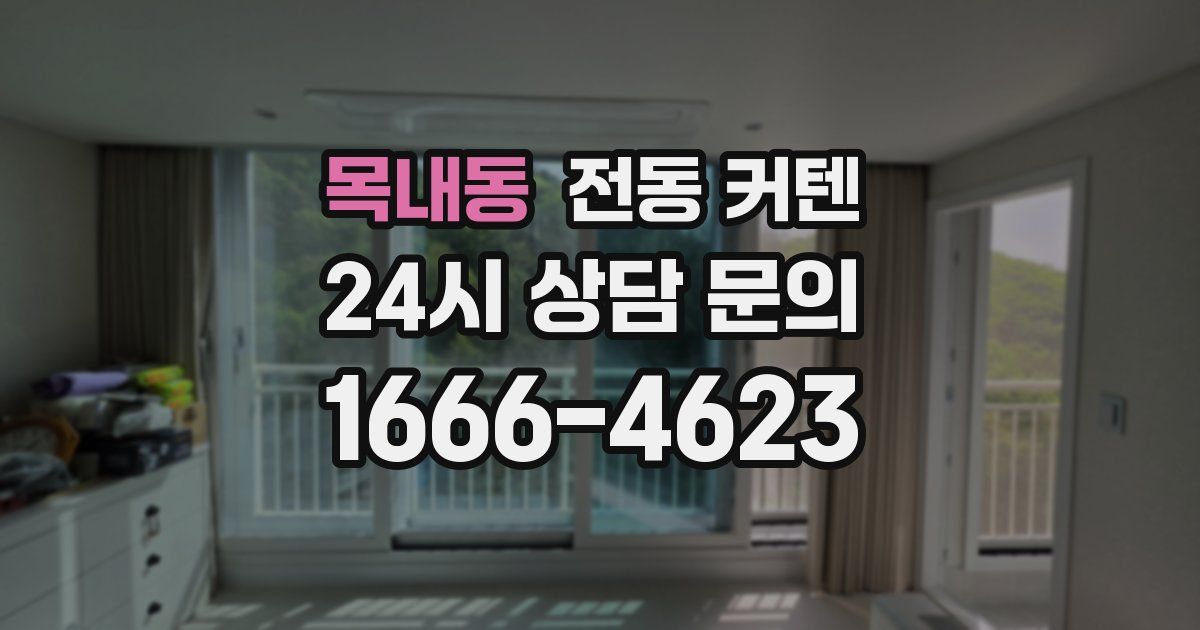 목내동 전동 커텐
