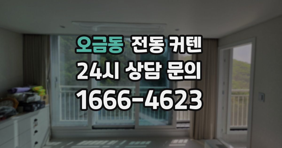 오금동 전동 커텐
