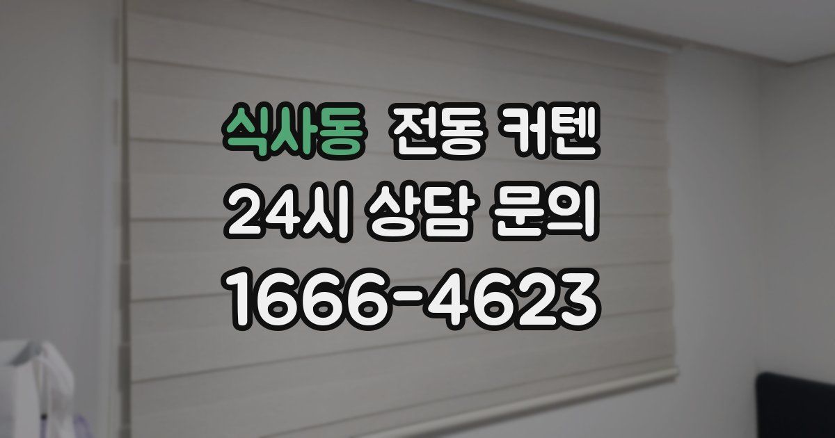 식사동 전동 커텐