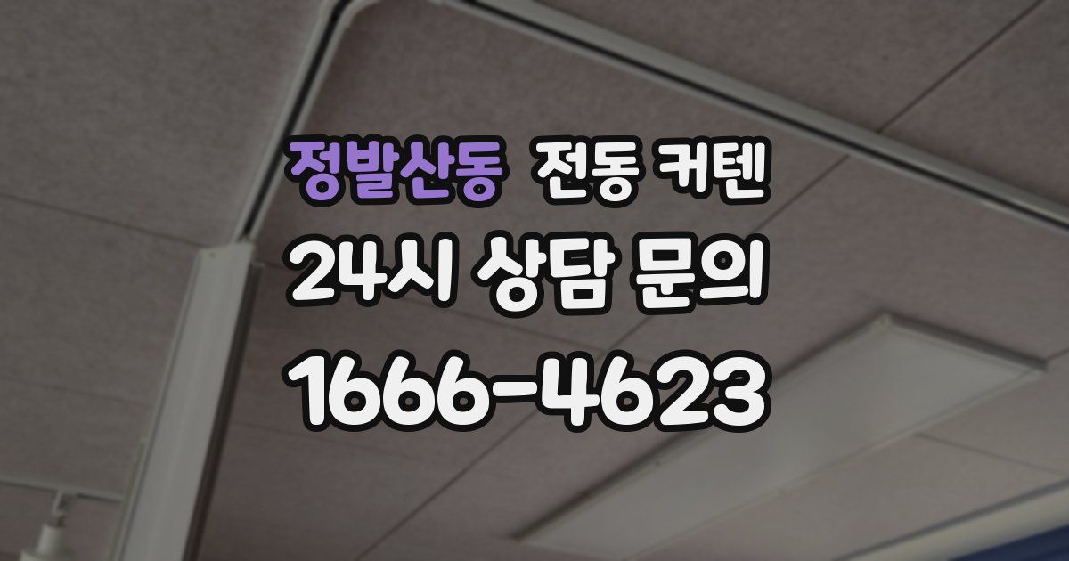 정발산동 전동 커텐