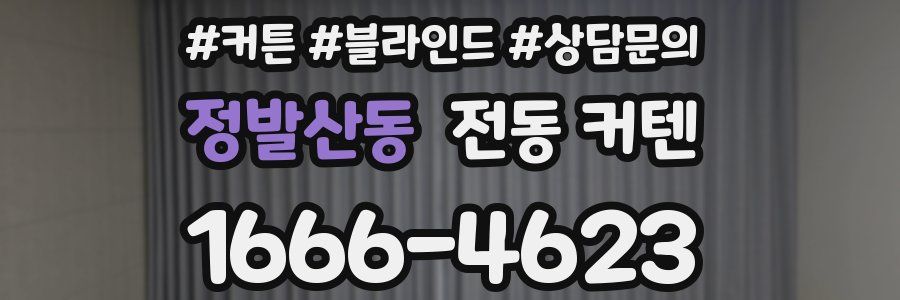 정발산동 전동 커텐