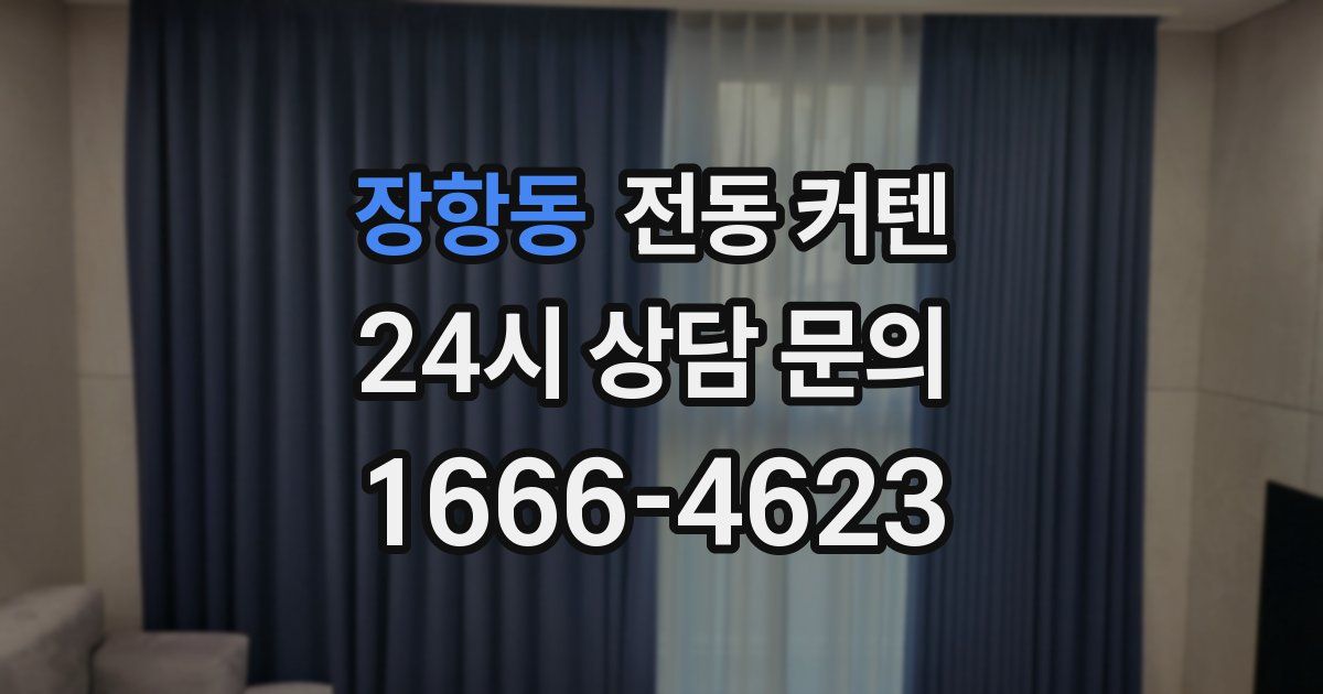 장항동 전동 커텐