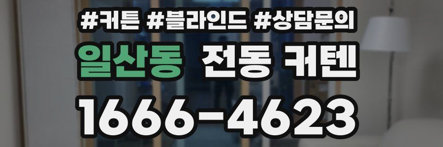 일산동 전동 커텐