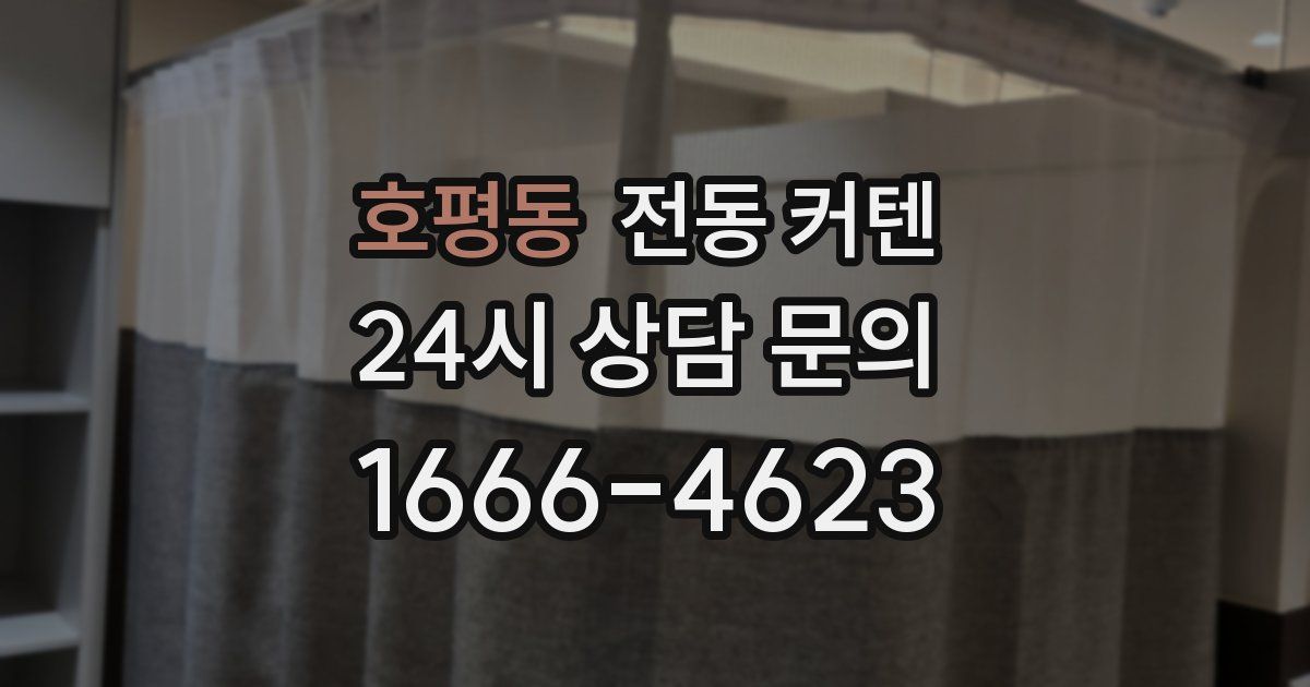 호평동 전동 커텐