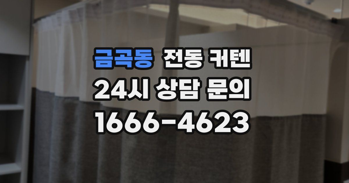 금곡동 전동 커텐