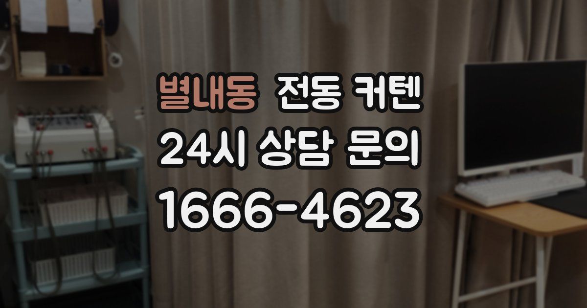 별내동 전동 커텐