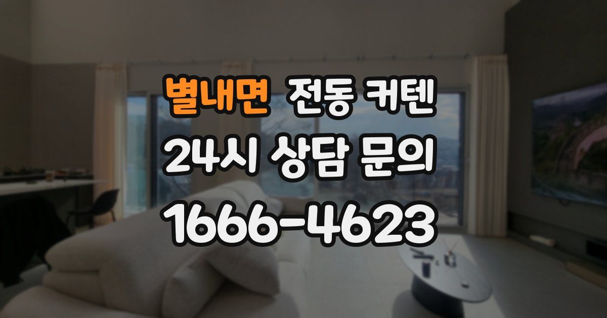 별내면 전동 커텐
