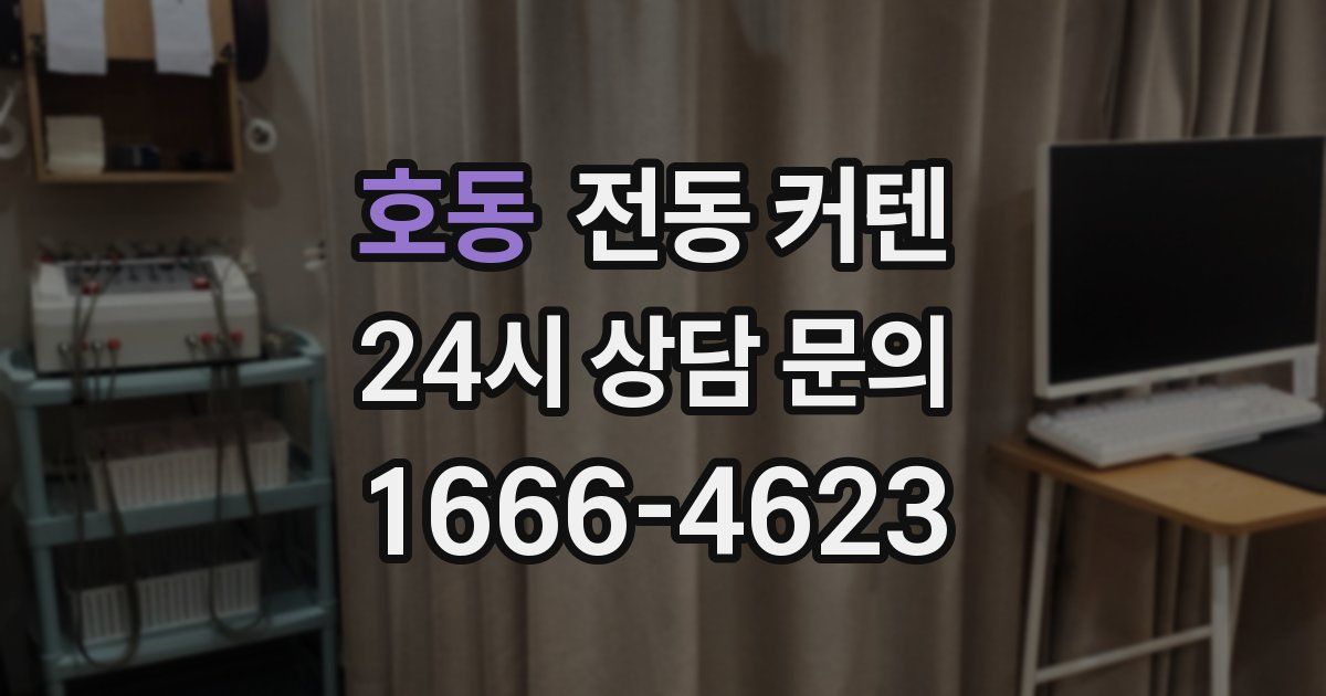 호동 전동 커텐