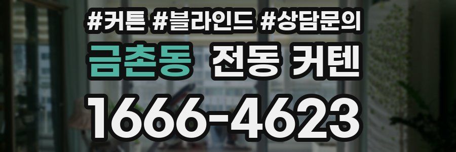 금촌동 전동 커텐