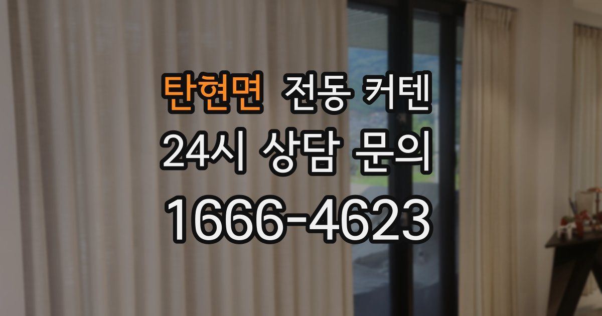 탄현면 전동 커텐