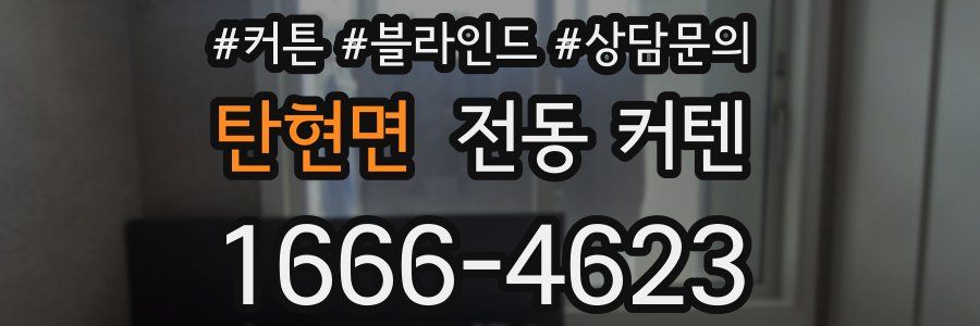 탄현면 전동 커텐