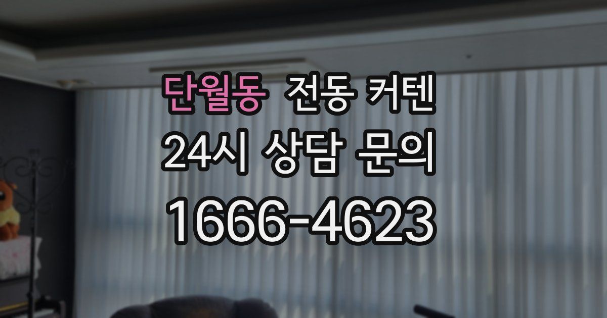단월동 전동 커텐