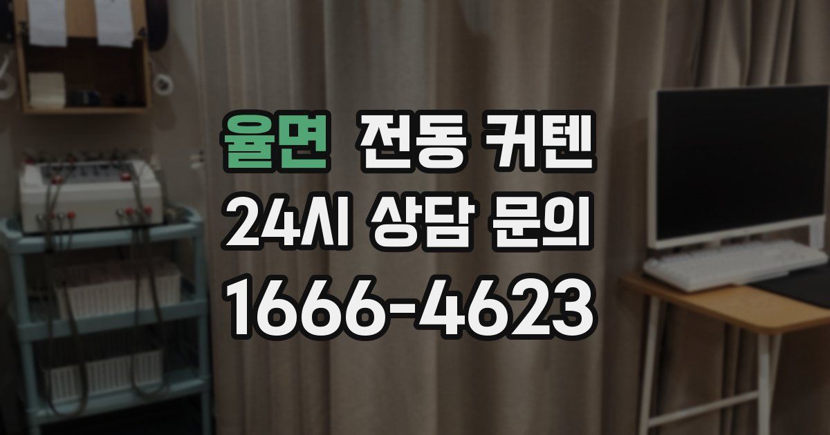 율면 전동 커텐