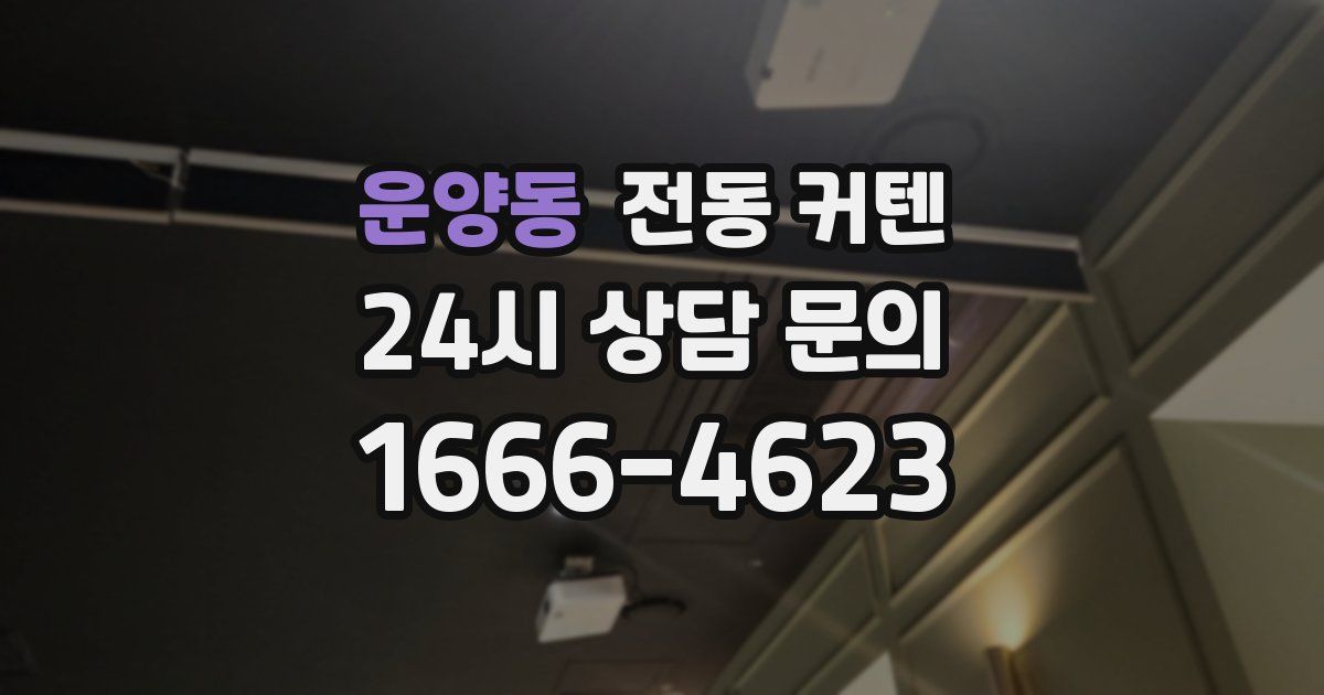 운양동 전동 커텐
