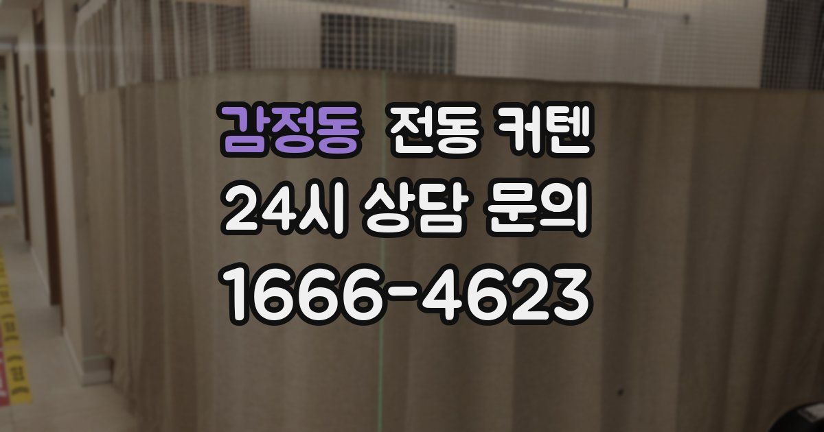 감정동 전동 커텐