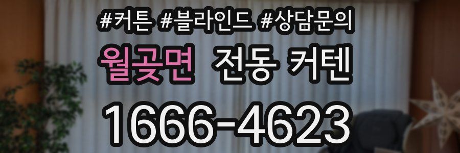 월곶면 전동 커텐