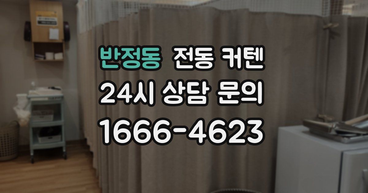반정동 전동 커텐