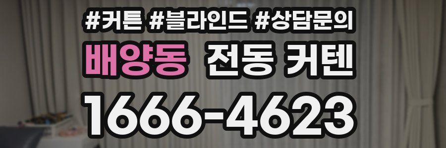 배양동 전동 커텐