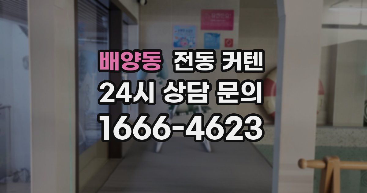 배양동 전동 커텐