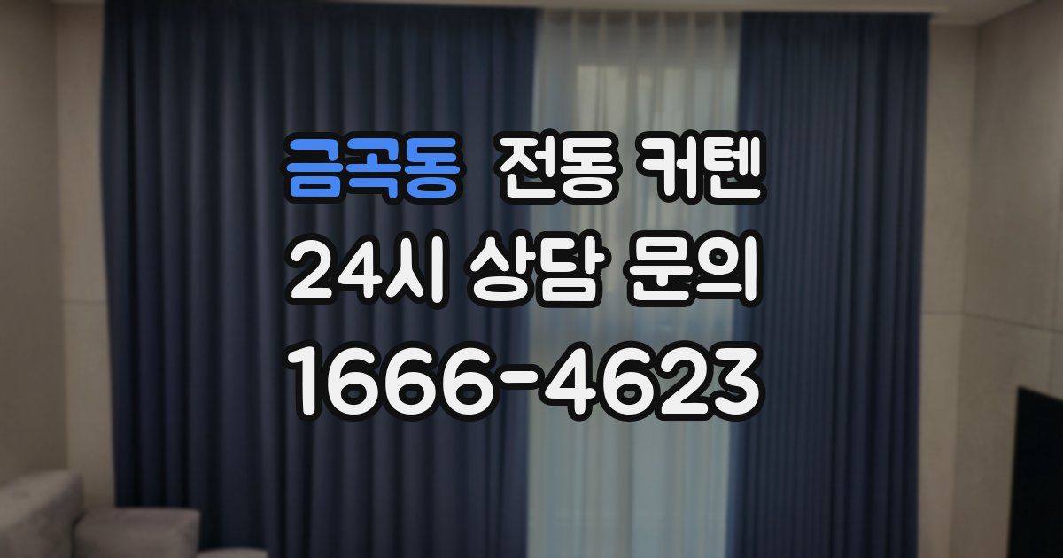 금곡동 전동 커텐