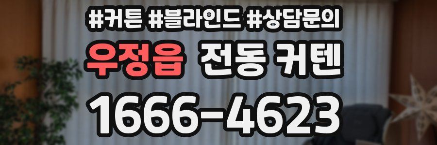 우정읍 전동 커텐