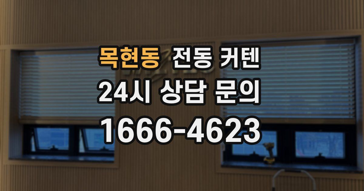 목현동 전동 커텐