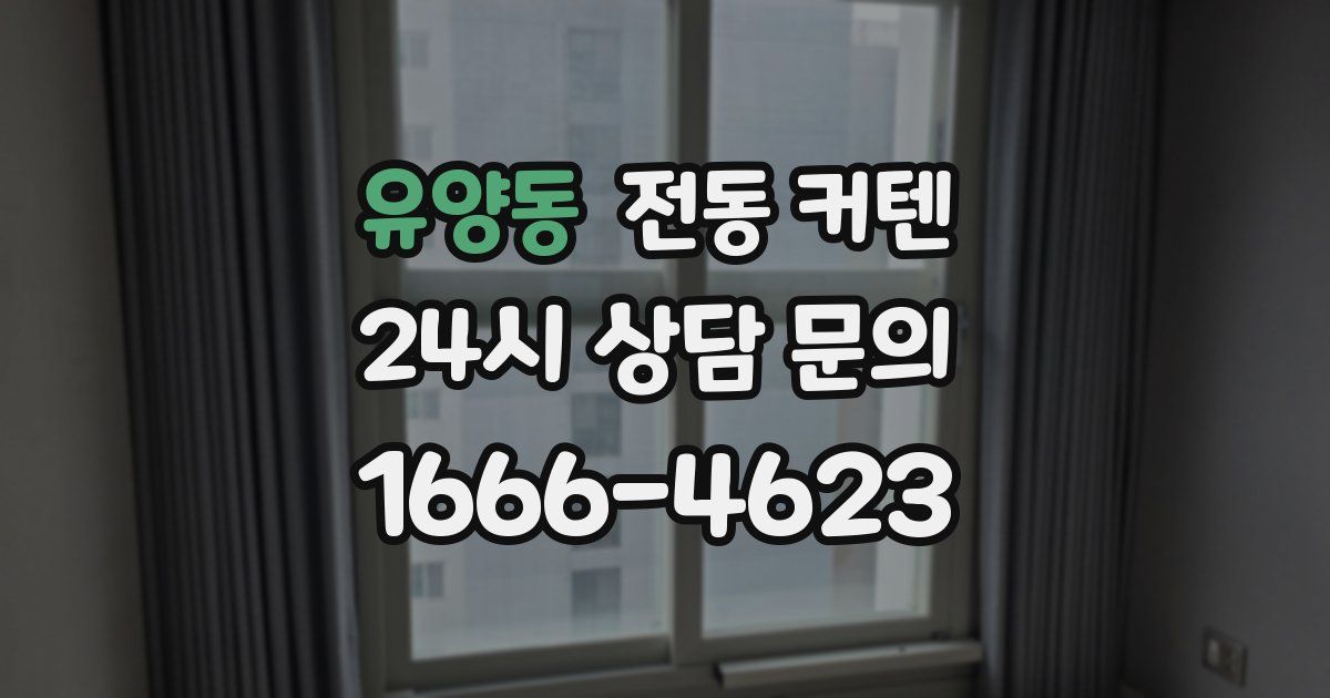 유양동 전동 커텐