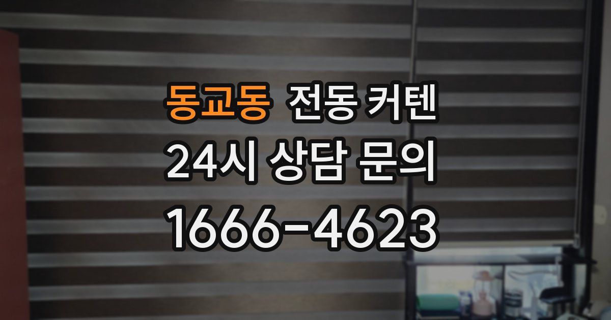 동교동 전동 커텐