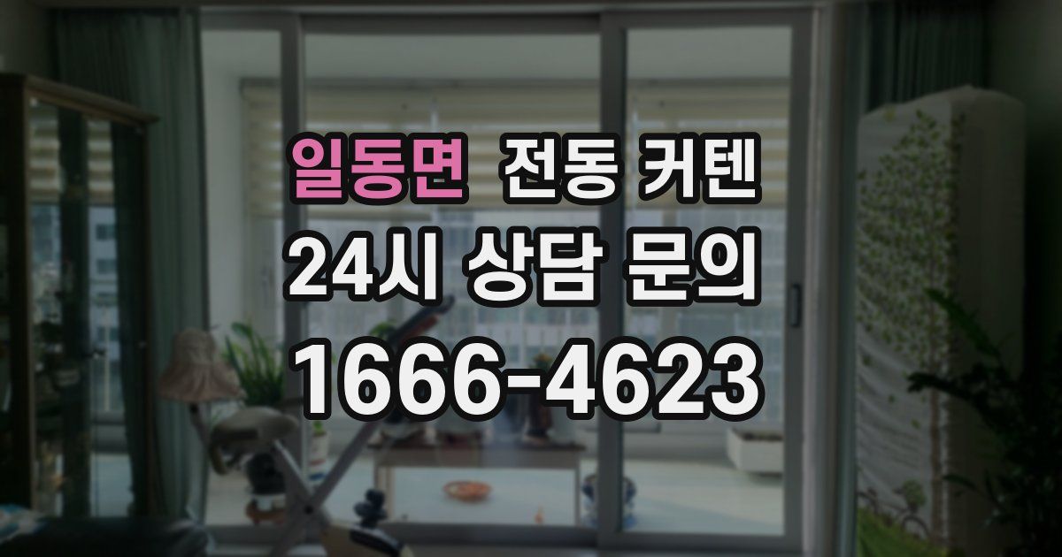 일동면 전동 커텐