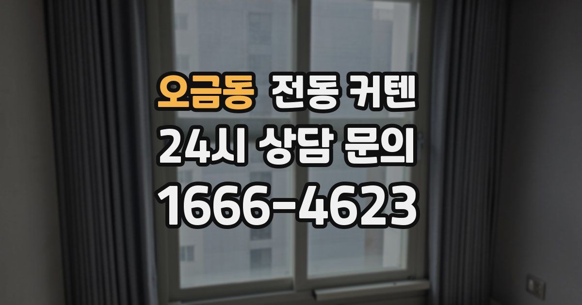 오금동 전동 커텐