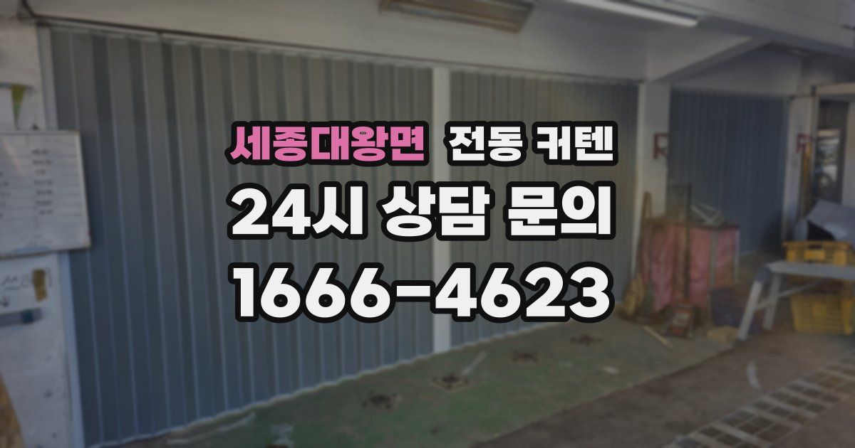 세종대왕면 전동 커텐