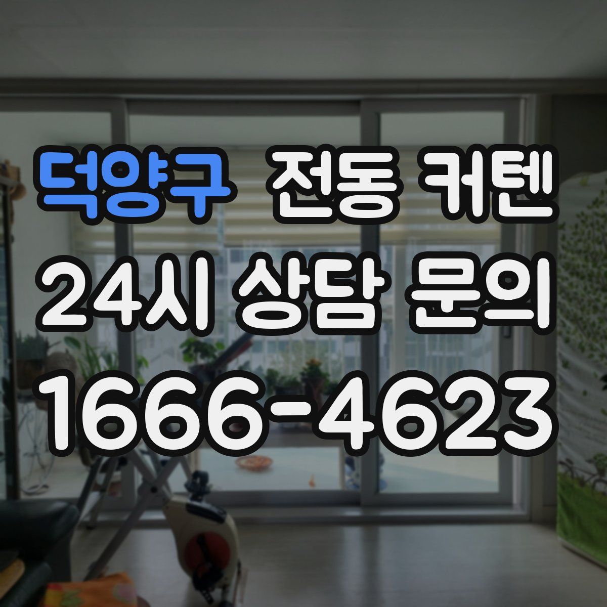 덕양구 전동 커텐
