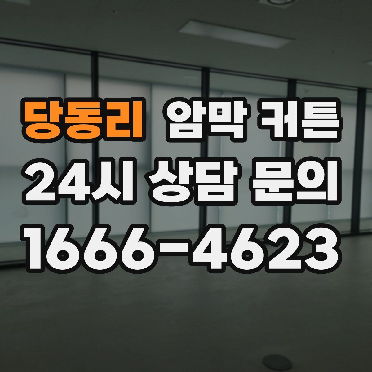 당동리 암막 커튼