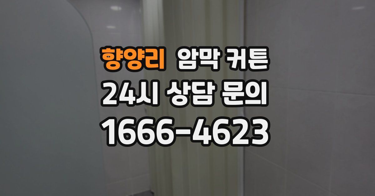 향양리 암막 커튼
