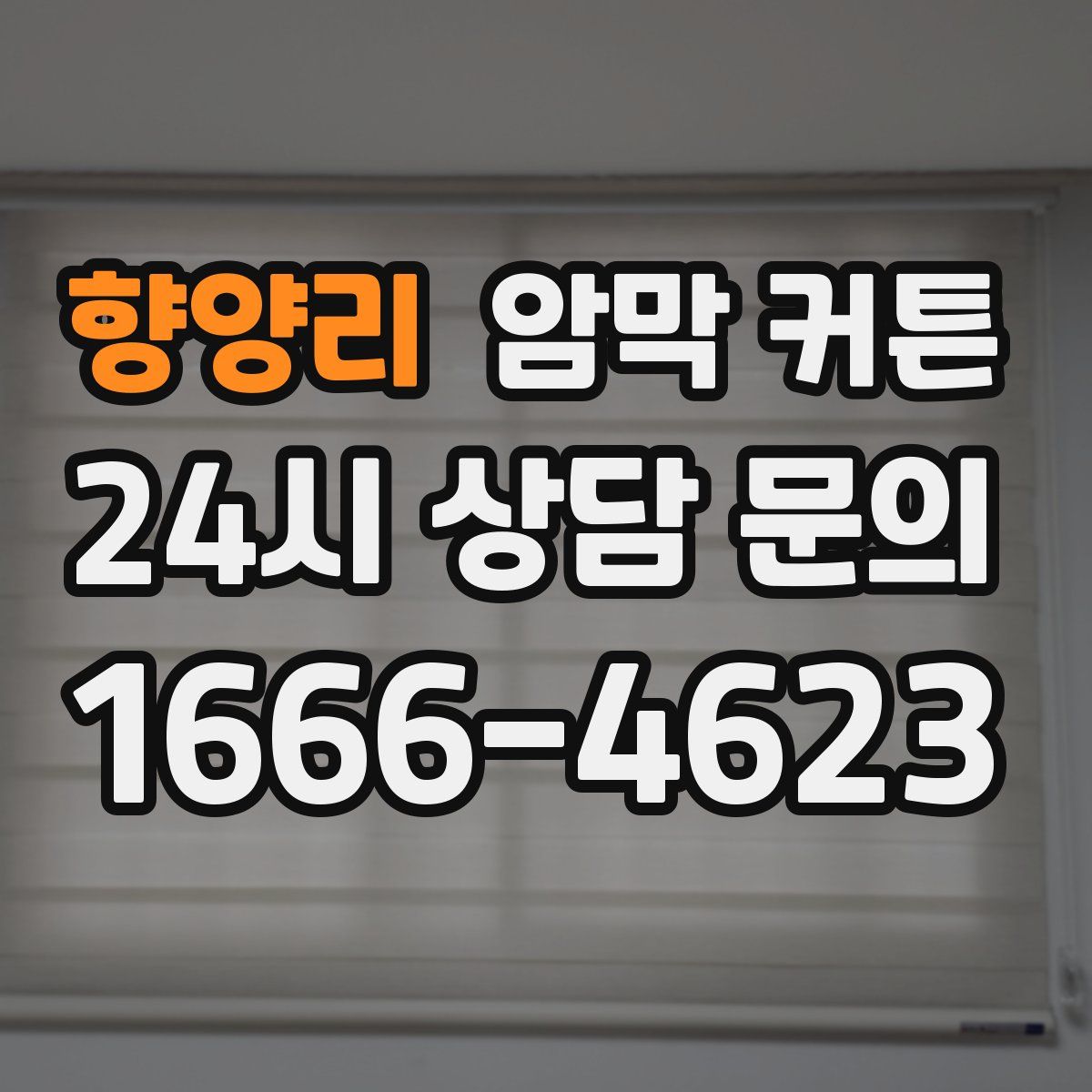향양리 암막 커튼