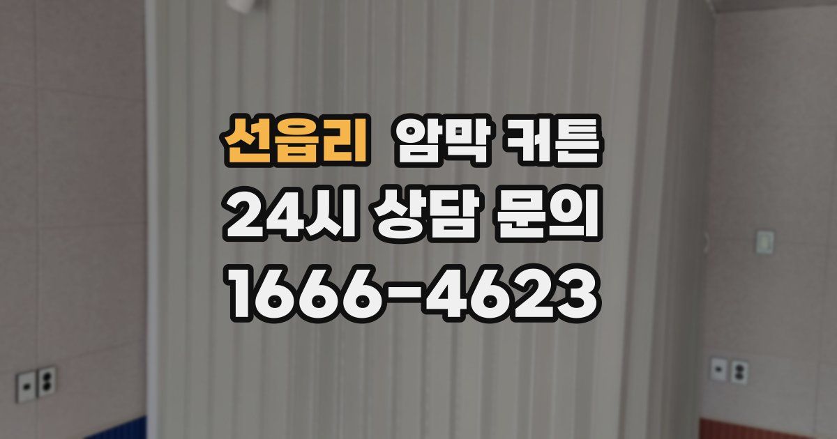선읍리 암막 커튼