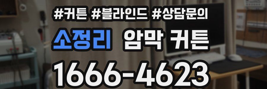 소정리 암막 커튼