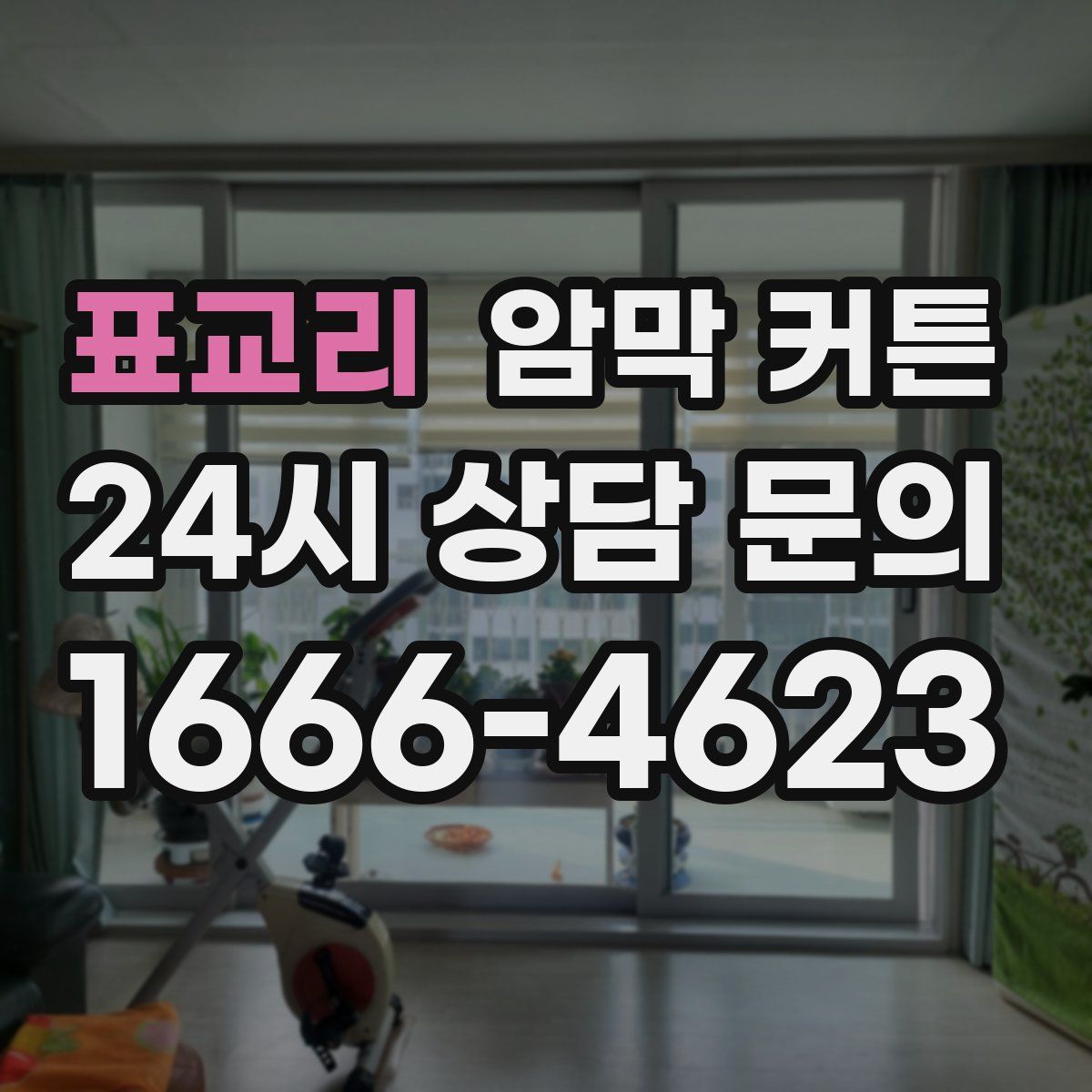 표교리 암막 커튼