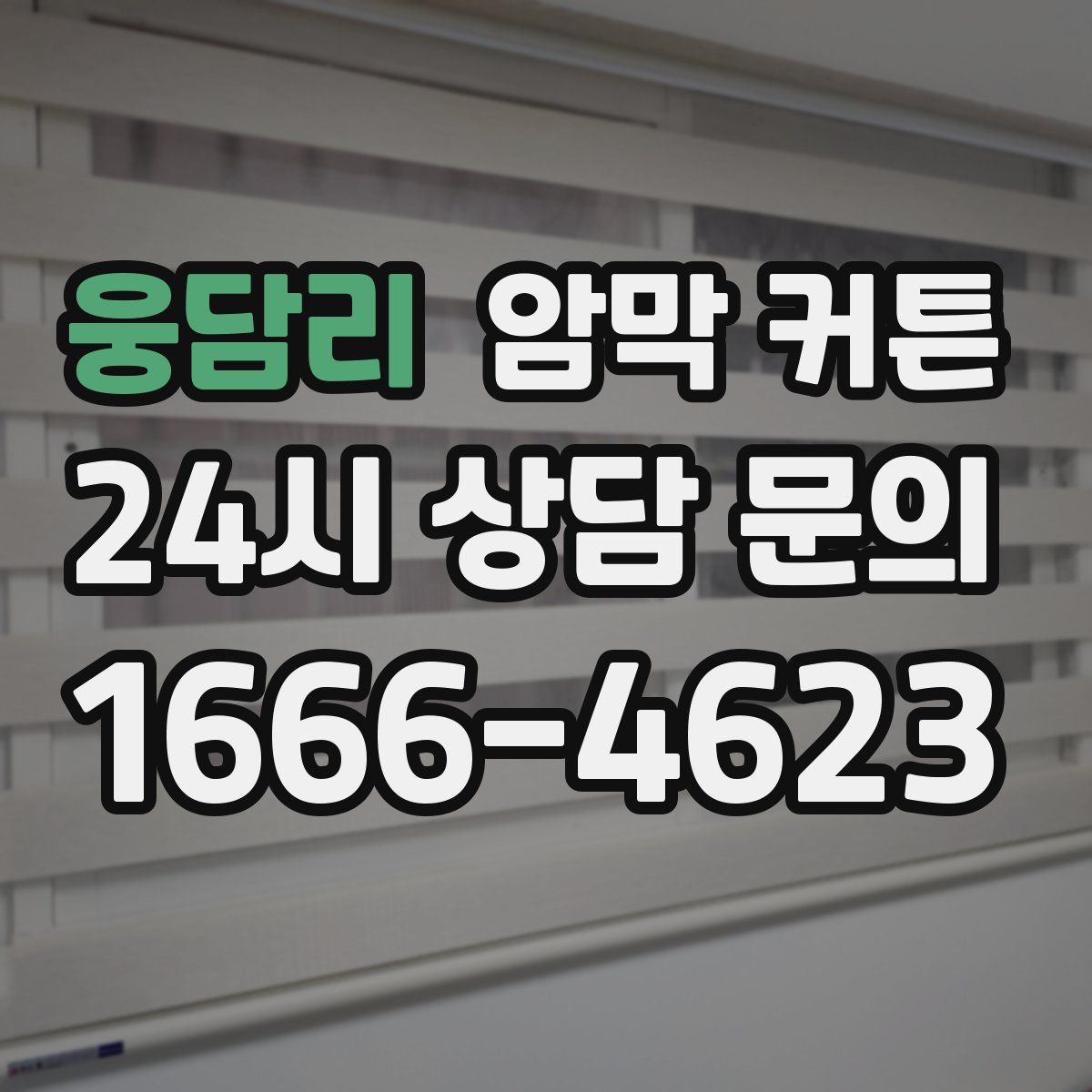 웅담리 암막 커튼