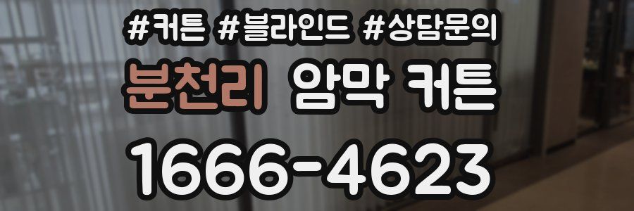 분천리 암막 커튼